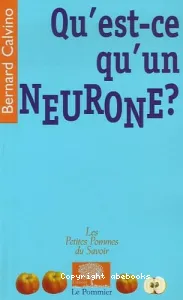 Qu'est-ce qu'un neurone ?