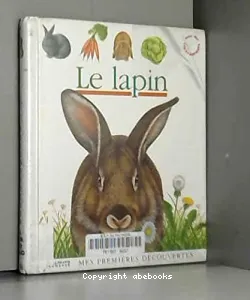 Le Lapin