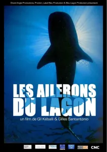 Les Ailerons du Lagon