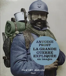 La Grande Guerre expliquée en images