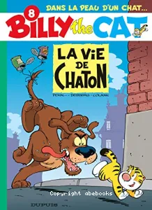 La vie de chaton