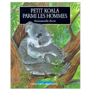 Petit koala chez les hommes