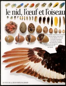 Le nid, l'oeuf et l'oiseau