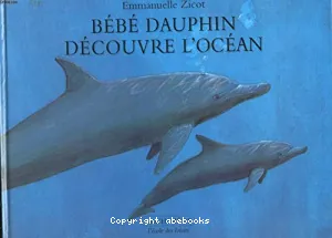 Bébé dauphin découvre l'océan