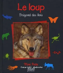 Le Loup, brigand des bois