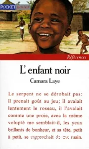 L'Enfant noir