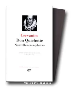 Don Quichotte, Nouvelles exemplaires