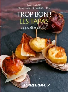 Les tapas : 43 recettes de chef