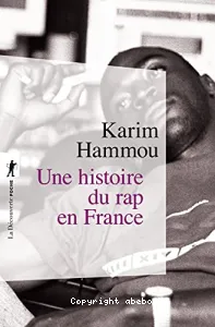 Une Histoire du RAP en France