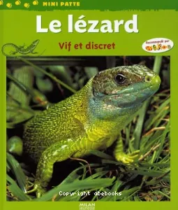 Le Lézard, vif et discret