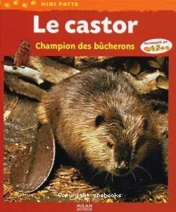 Le Castor, champion des bûcherons