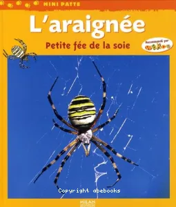 L'Araignée, petite fée de la soie