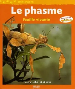 Le Phasme, feuille vivante