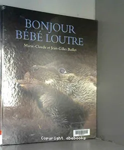 Bonjour bébé loutre