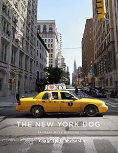 The New York dog
