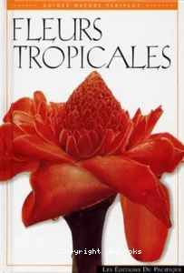 Fleurs tropicales