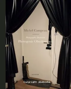 Photogénie et obsolescence de la chambre noire argentique