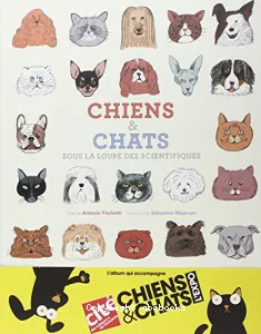 Chiens et chats