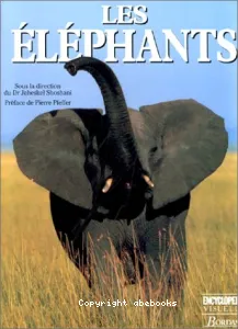 Les Eléphants