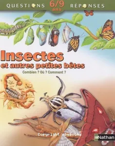 Insectes et autres petites bêtes