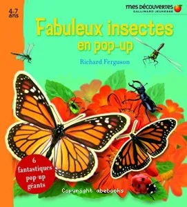 Fabuleux insectes en pop-up