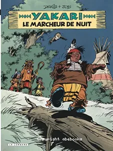 Le marcheur de nuit