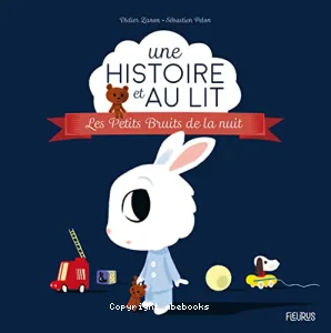 Les petits bruits de la nuit