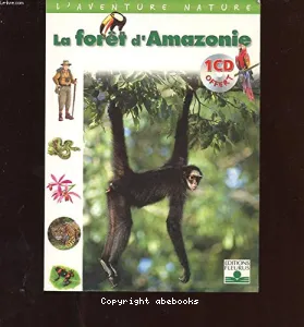 La forêt d'Amazonie