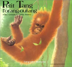 Petit Tang l'orange-outang