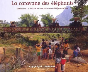 La Caravane des éléphants