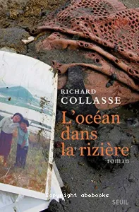 L'océan dans la rizière