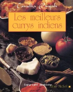 Les Meilleurs currys indiens