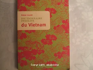 Dictionnaire insolite du Vietnam