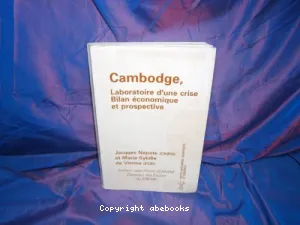 Cambodge : Laboratoire d'une crise