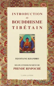 Introduction au bouddhisme tibétain (auteur : Djamyang Khandro)
