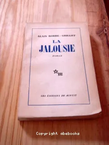 La Jalousie (roman)